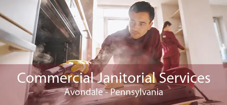 Commercial Janitorial Services Avondale - Pennsylvania