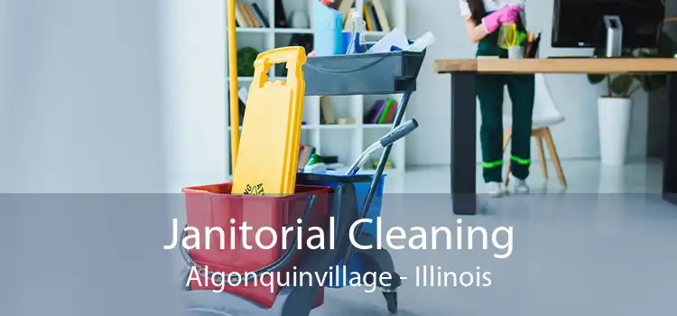 Janitorial Cleaning Algonquinvillage - Illinois